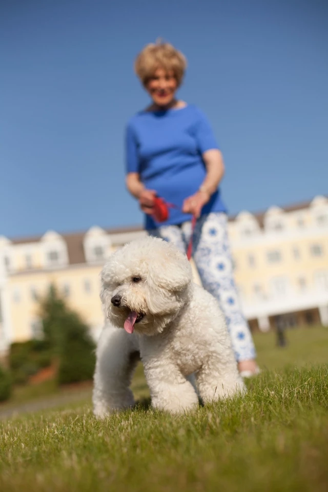 Woman walking dog