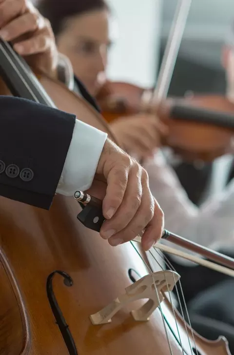 Orchestra performing