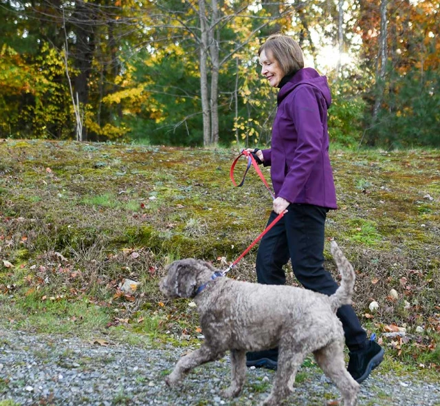 Woman walking dog