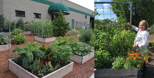 Green City Growers garden