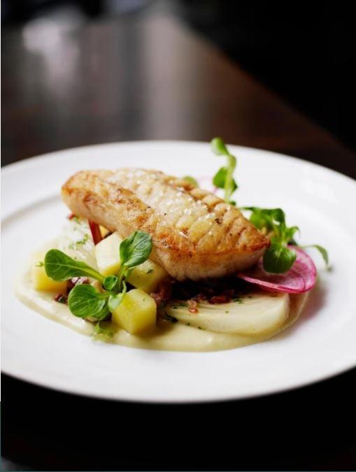 Salmon over vegetables