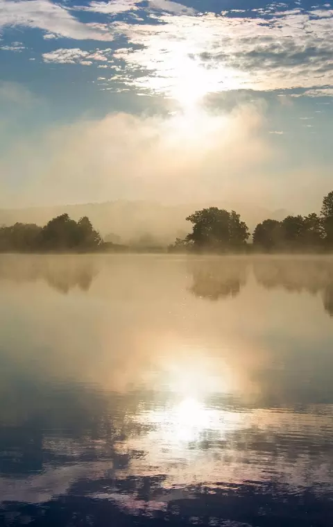 Pond with fog