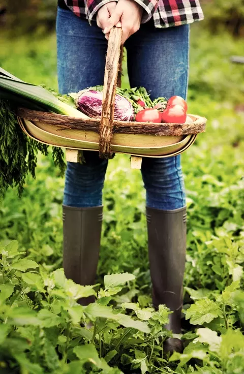 Woman holding vegetables