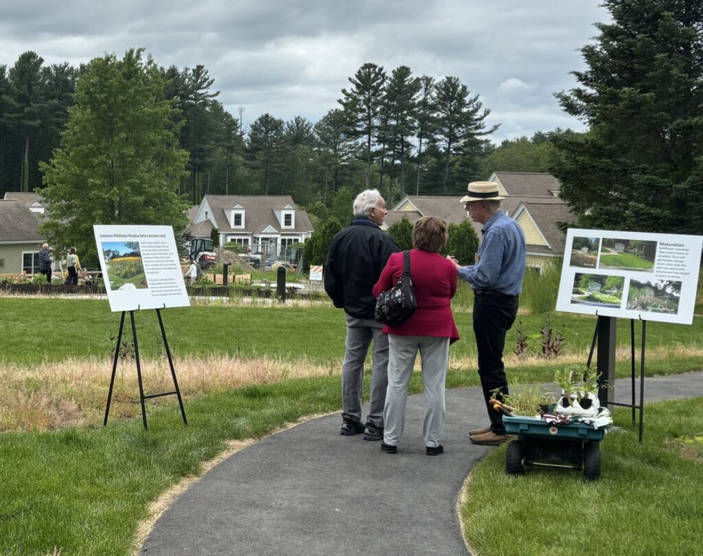 Garden party tours