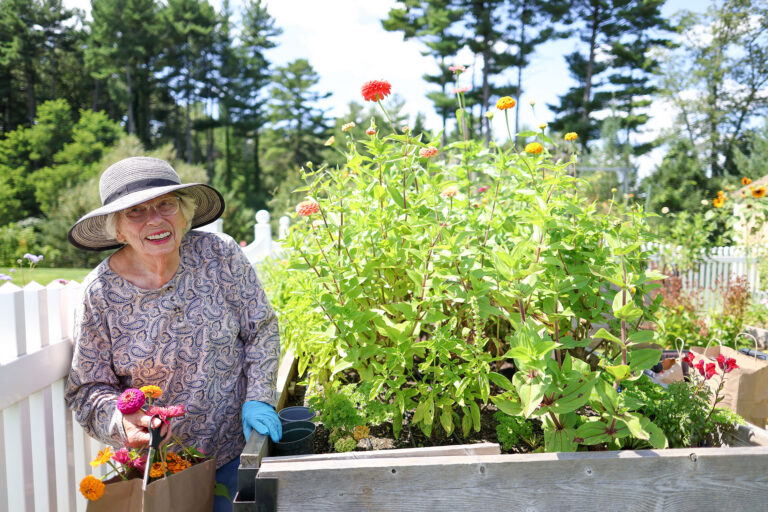 Barbara R. smiles beside a raised garden bed filled with colorful flowers at The Commons in Lincoln, holding freshly cut blooms on a sunny day.